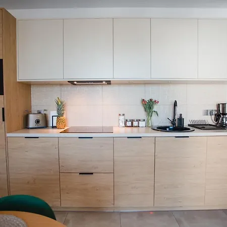 Appartement W&k - - Faktura Vat, Parking W Garazu, Blisko Dworca I Centrum, Netflix