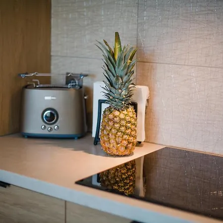 W&k - - Faktura Vat, Parking W Garazu, Blisko Dworca I Centrum, Netflix Appartement *