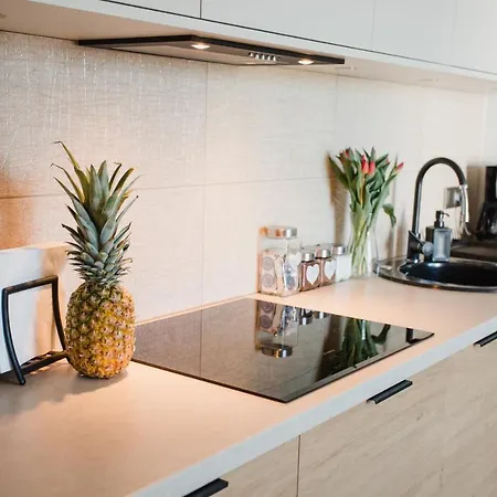 W&k - - Faktura Vat, Parking W Garazu, Blisko Dworca I Centrum, Netflix *